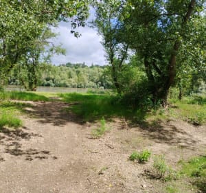 De Tours a Savonnières, au fil de la Loire et du Cher - Tours - 3