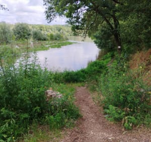 De Tours a Savonnières, au fil de la Loire et du Cher - Tours - 5