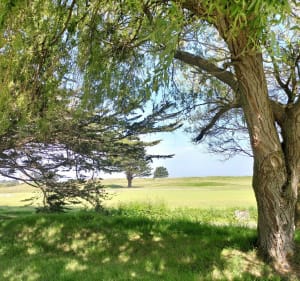 Le chemin continue après Saint Lunaire - Saint-Lunaire - 4