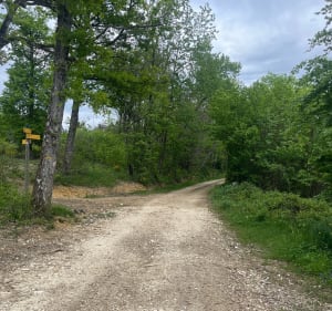 Randonnée de Chevrières, par la Girardière - Chevrières - 5