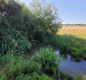Balade en campagne depuis Ceintrey - Ceintrey - 3