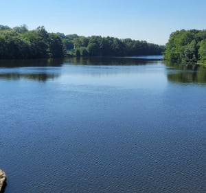 Balade en campagne depuis Ceintrey - Ceintrey - 5