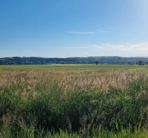 Plaine d'Heyrieux par la Herse - Heyrieux - 4