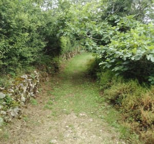 Boucle de Bourdeilles et de Valeuil réunis - Bourdeilles - 4