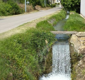 Canal de Carpentras autour de Sarrians - Sarrians - 3