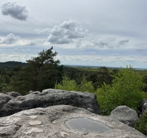La + chouette rando d’Île de France - Fontainebleau - 5