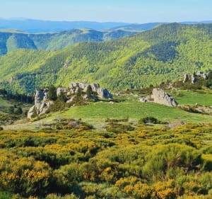 Balade jusqu'à la Cim dels Cums - Prats-de-Mollo-la-Preste - 3