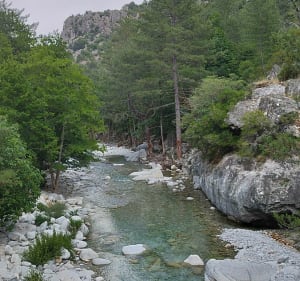 Rando dans la vallée de la Restonica - Corte - 3