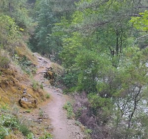 Rando dans la vallée de la Restonica - Corte - 4