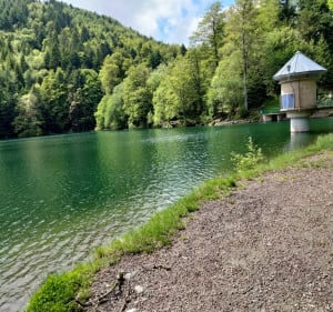 Randonnée entre Guebwiller et le lac du Ballon - Jean - 3