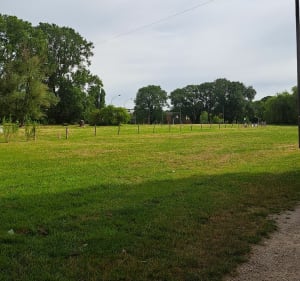 Oissel par circuit des Essarts - Elbeuf - 3