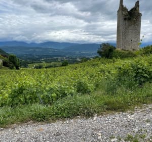 Les Tours de Chignin et Saint Anthelme - Chignin - 5