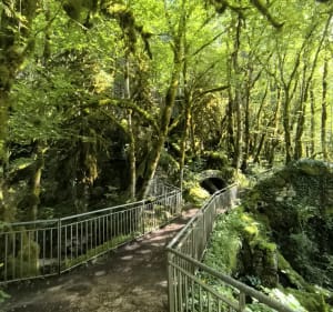 Cascade du moulin - Richard - 3