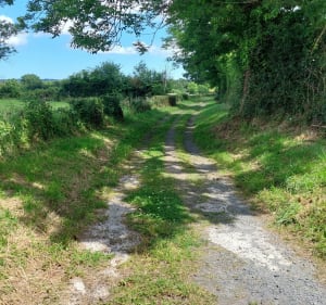 Balade en campagne à Molay-Littry - Le Molay-Littry - 3