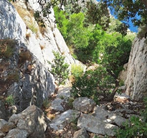 Calanques et cols - Cassis - 5