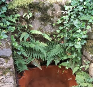 Cascade de Mauroul - Saint-Julien - 3