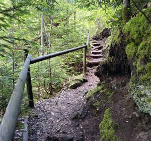 Balade entre Besse et la Cascades de Chiloza - Besse-et-Saint-Anastaise - 4