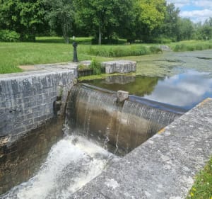 Forêt et étang de Combreux - Vitry-aux-Loges - 3