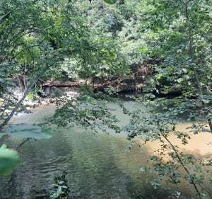 Fraîcheur dans le parc de la Brague - Biot - 4