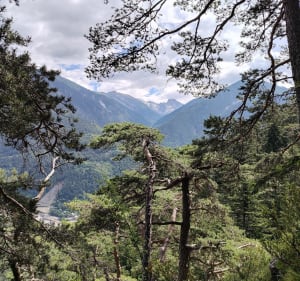 Boucle de Saint Martin de Vésubie vers la Colmiane - Saint-Martin-Vésubie - 3