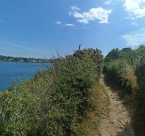 A l'assaut de la Butte de César via le sentier côtier - Arzon - 3