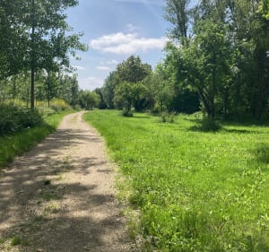 Entre Trec et Garonne - Saint-Pardoux-du-Breuil - 5