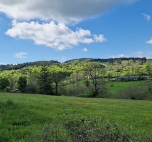 Vue sur les sucs à Saint-Julien-Chapteuil - Saint-Julien-Chapteuil - 4