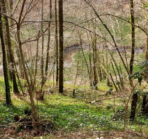 Randonnée agréable depuis le Moulin du Teil - Le Rouget-Pers - 3