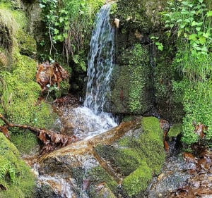 Randonnée à Camp Barrat autour de Colognac - Colognac - 3