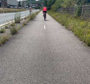 Van Rouen naar La Bouille - Rouen - 4