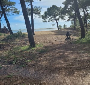 La Palmyre, du Club med jusqu'à la Baie de Bonne Anse - Les Mathes - 4