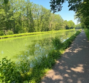 Charmante balade jusqu’à Saverne - Bischheim - 3