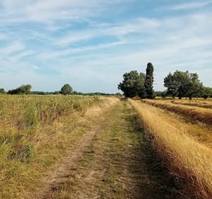 Tour de Larra Nord - Larra - 3