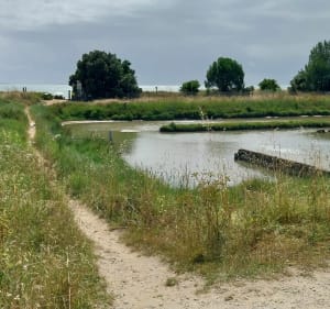 Fort Royer, Boyardville et Marais de l'Eguille - Dolus-d'Oléron - 4