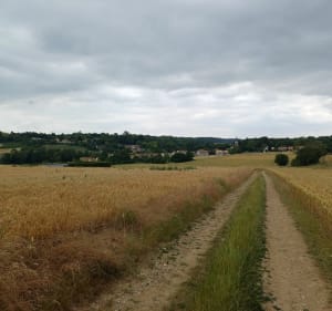 Autour du Val des 4 pignons (Beynes) - Beynes - 3