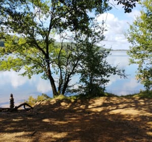 Circuit de la Bastide au Lac - Réalmont - 3