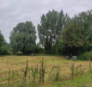 Balade du bois Fontaine. - Burbure - 5