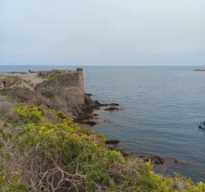 Sentier de La Mauresque,  Port-Vendres - Port-Vendres - 5