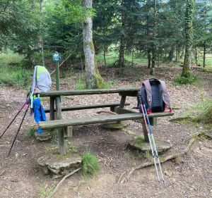 Randonnée sur les hauteurs de Murbach - Buhl - 3