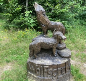 Randonnée sur les hauteurs de Murbach - Buhl - 4
