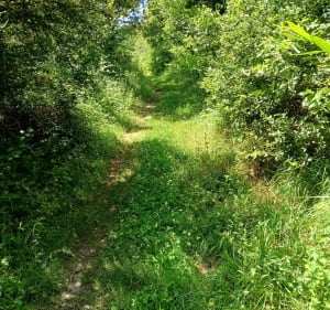 Petite randonnée des sources - Douzillac - 5