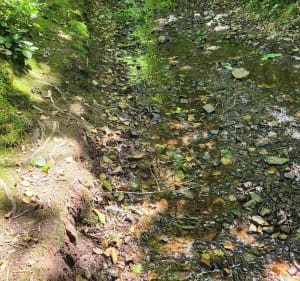Les hauts  de Roucamps - Les Monts d'Aunay - 3