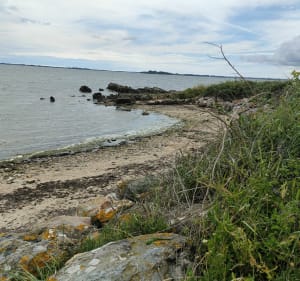 Promenade à travers les marais de Séné jusqu'à la mer - Séné - 4