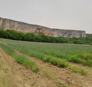 Gorges de Lioux - Lioux - 4