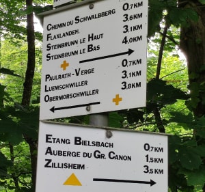 Forêt de Zillisheim et vue sur l'Allemagne - Zillisheim - 3