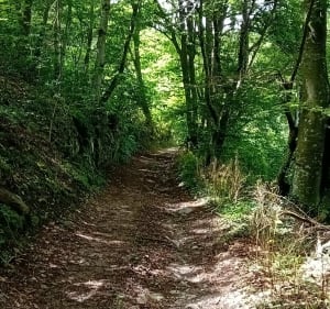 Balade dans les Monts du lyonnais de Messimy à Yzeron et retour - Messimy - 5