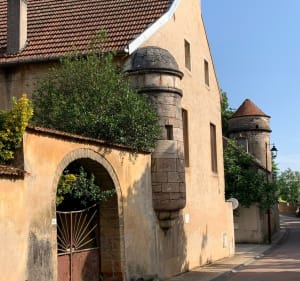 De Marsannay à Nuits - Marsannay-la-Côte - 3