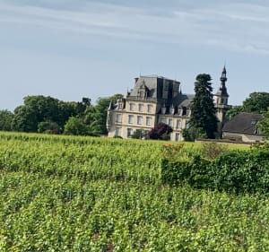 De Marsannay à Nuits - Marsannay-la-Côte - 5