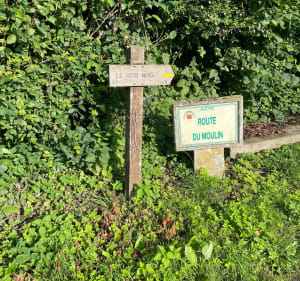 Honlieu et forêt - Montcavrel - 3
