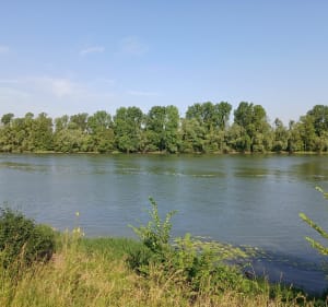 Voie bleue de Thoissey - Thoissey - 3